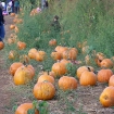 2007-10-13 (002).jpg